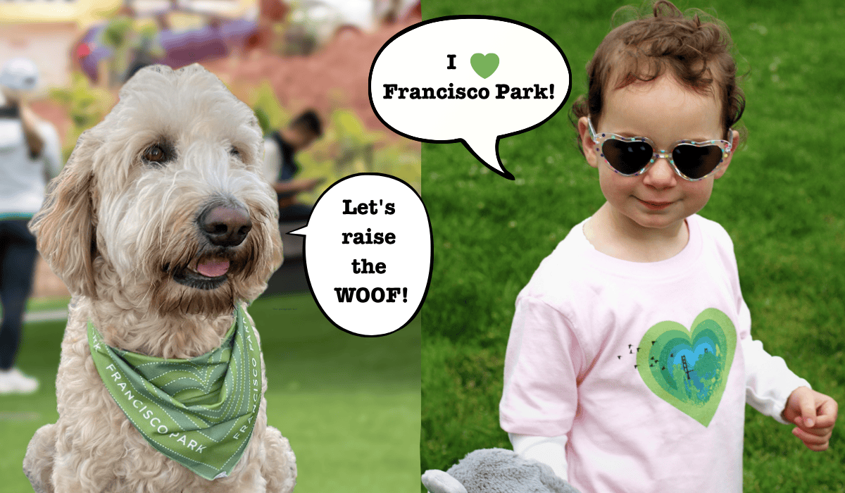 Copy Of Fall 2025 Campaign Banner 48 X 30 In 1200 X 700